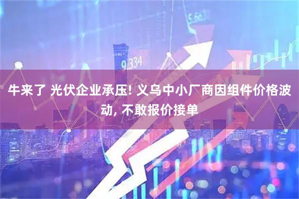 牛来了 光伏企业承压! 义乌中小厂商因组件价格波动, 不敢报价接单